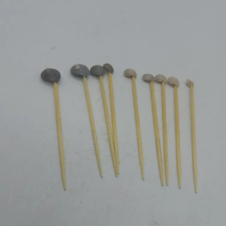 Vintage Shell Party Picks Plastic Set of 9