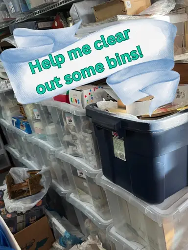 Shop My Bins!