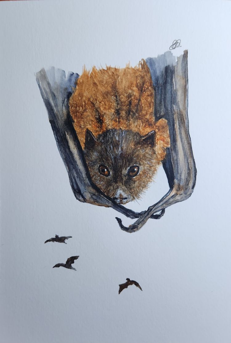 Bat Original Watercolor Painting Signed By The Artist 5x7 Free Shipping