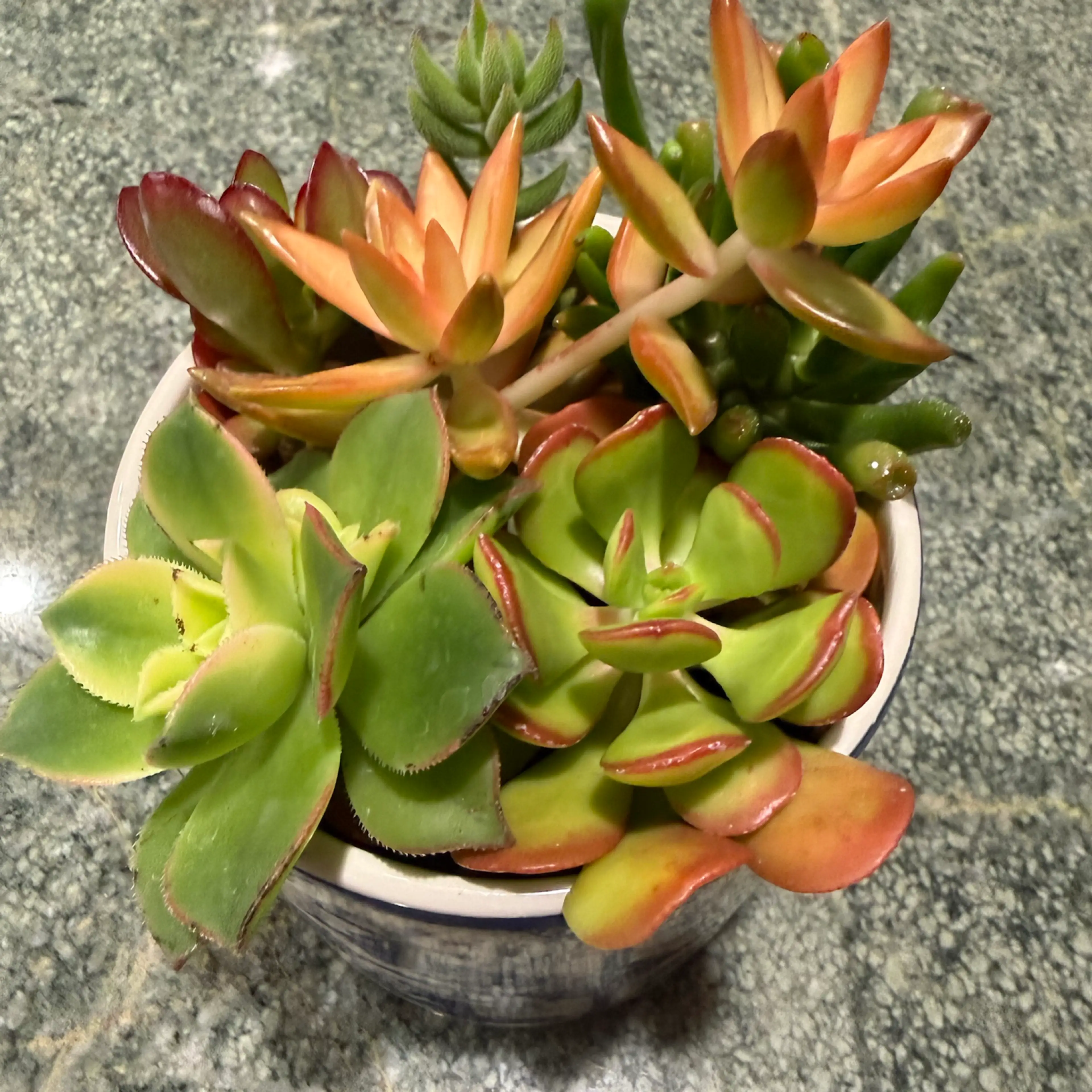 Image 3 of 3