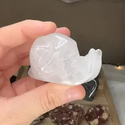 Clear Quartz Snail