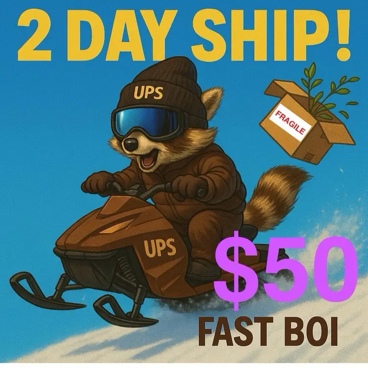 2 Day Shipping Upgrade