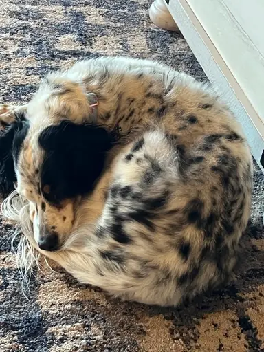 Vintage Variety! 🎉