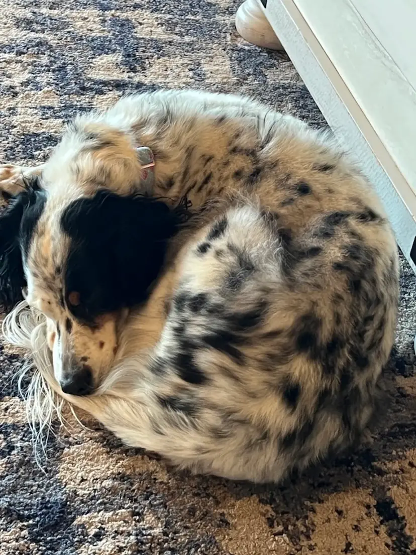 Livestream thumbnail