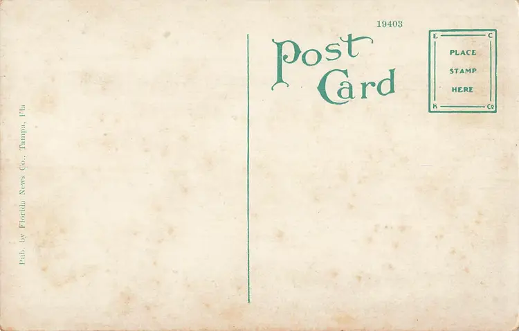 TAMPA FLORIDA~CITY HALL~ANTIQUE VINTAGE POSTCARD