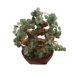 Jade Tree