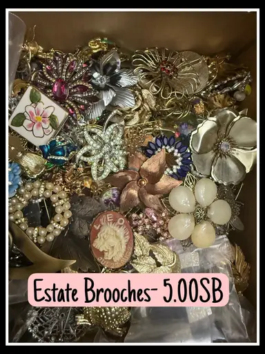 Estate Brooch Unpacking- 5.00 SB