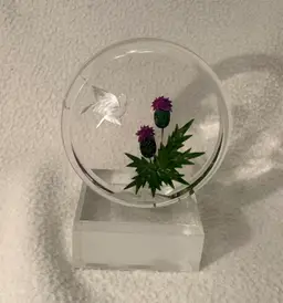 Paperweight - Lucite