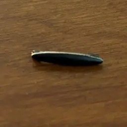 Antique Black Lingerie Pin Black And Gold Tone