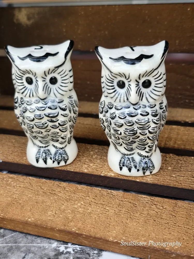 Vintage Folk Art Owl Salt & Pepper Shaker