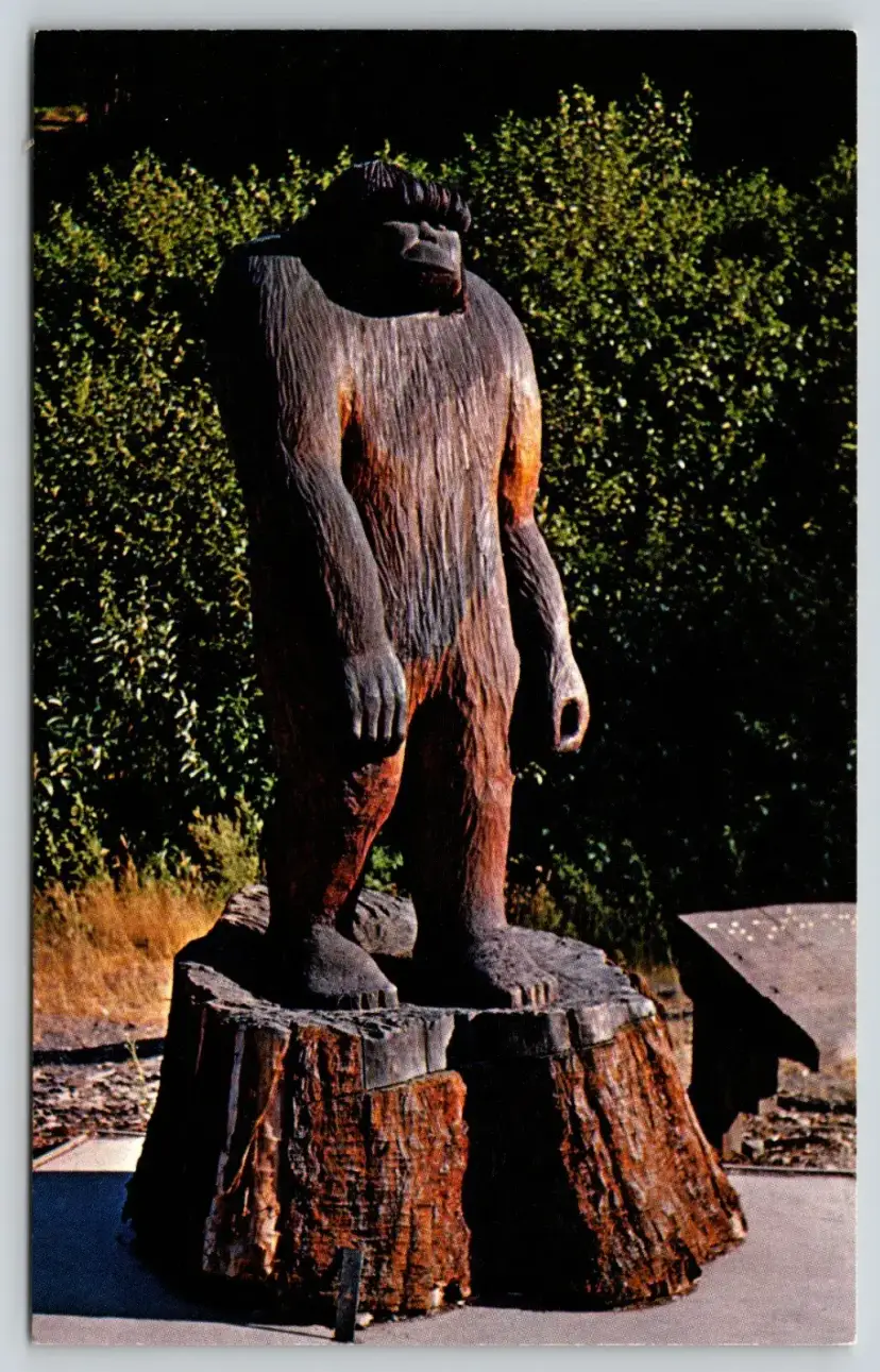 Postcard Big Foot Willow Creek California Carved from Redwood Tree Sasquatch Mythical Creature  -  6050