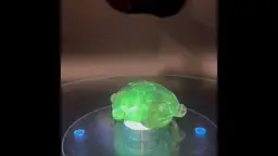 ONLY $10.00 FOR A GLOWING TURTLE