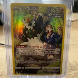 Passimian TG08/TG30 Silver Tempest Trainer Gallery set. Pokémon TCG Ultra-rare, holofoil