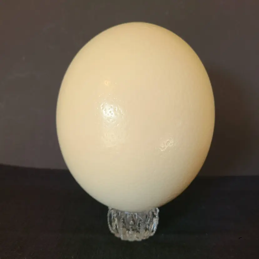 Blown Ostrich Egg for Etching Crafts or Easter Display