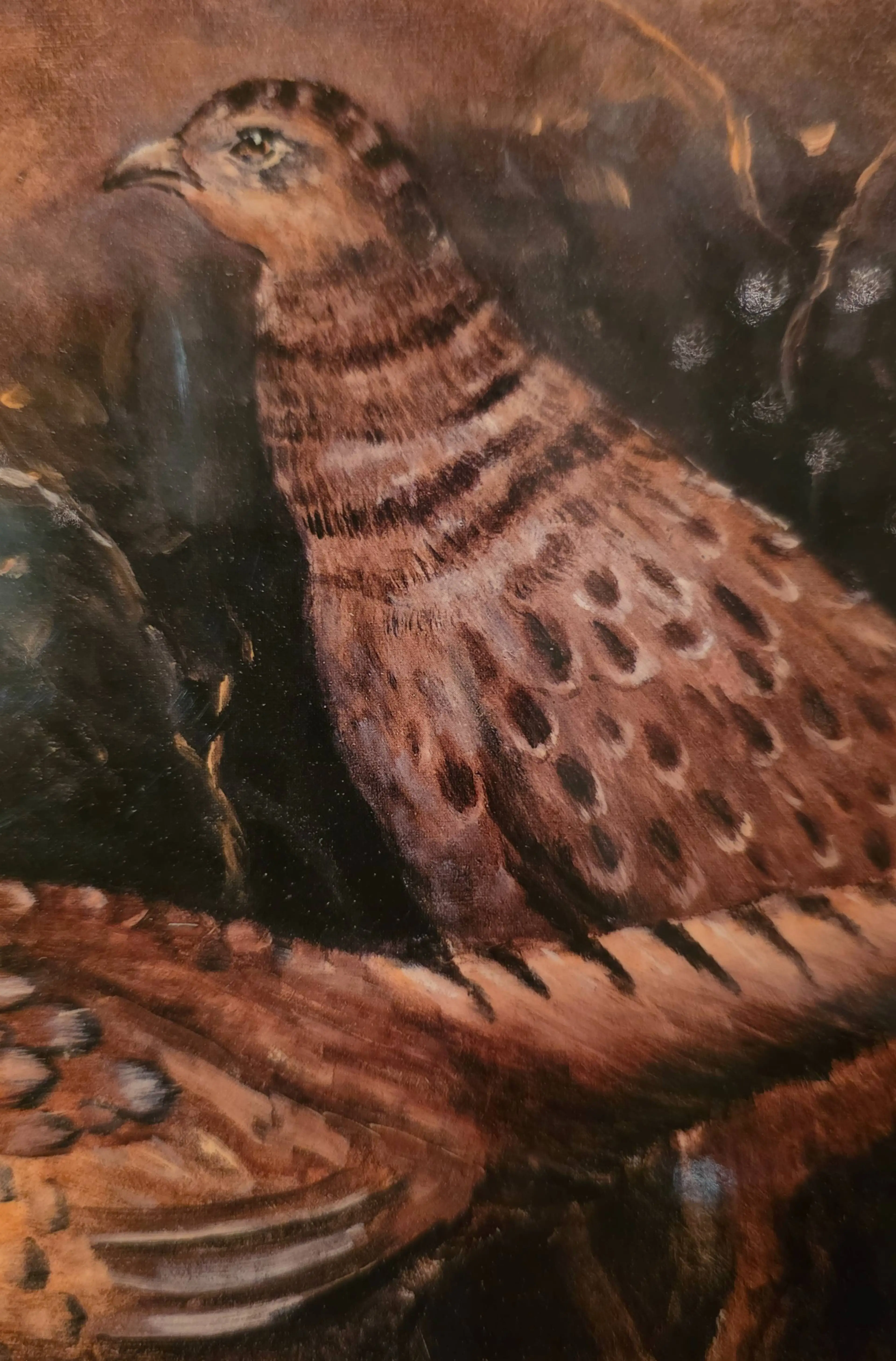 Image 3 of 7
