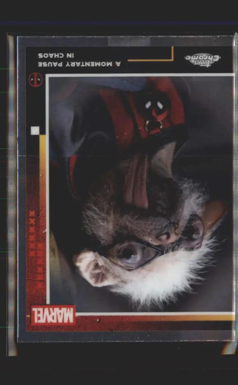 A Momentary Pause In Chaos 2025 Topps Chrome Marvel Deadpool #96 - (140) -
