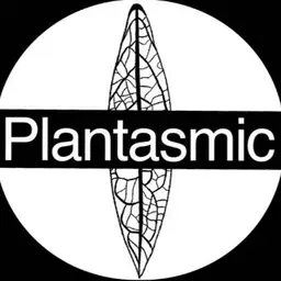 Plantasmic's avatar