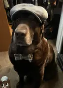 uniqueandpersonalvintage