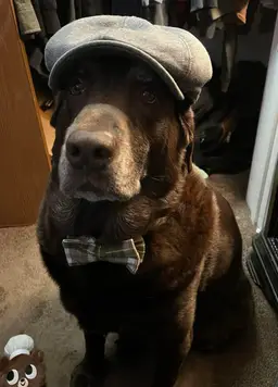 uniqueandpersonalvintage