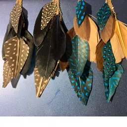 Beautiful Feather Earrings 2 Pair