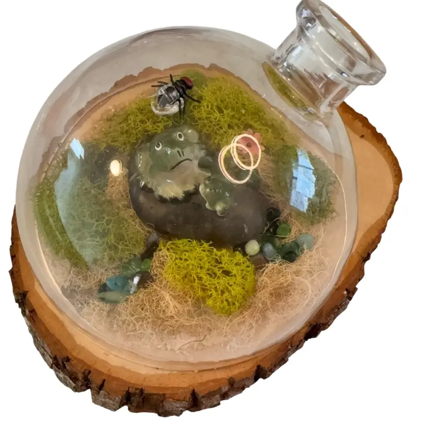 Repurposed Frogs Sitting In Rocks In Terrarium Living Their Best Lives Until The Fly Landed Out If Reach On Wood Round Under Glass