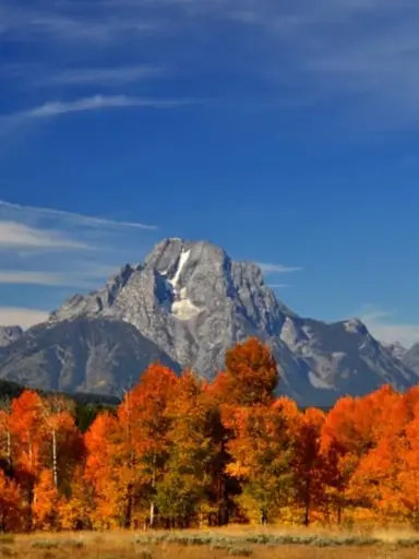 Fall Into Fun With Crystal Cowboy (Russ And Angel)