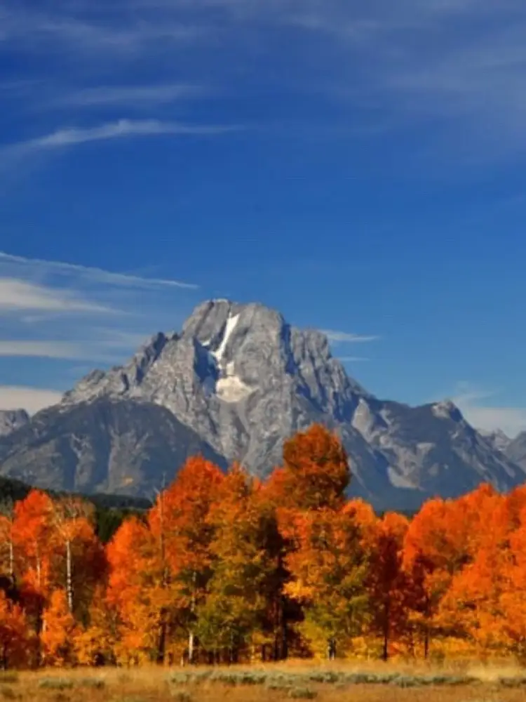 Fall Into Fun With Crystal Cowboy (Russ And Angel)