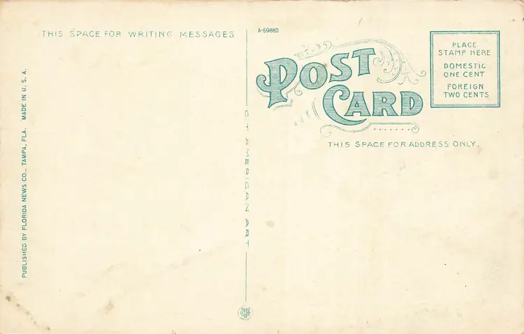 TAMPA FLORIDA~NEBRASKA AVENUE~1920s ANTIQUE VINTAGE POSTCARD