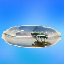 Oval Trinket Or Celery Dish Hand Painted Japan 11”