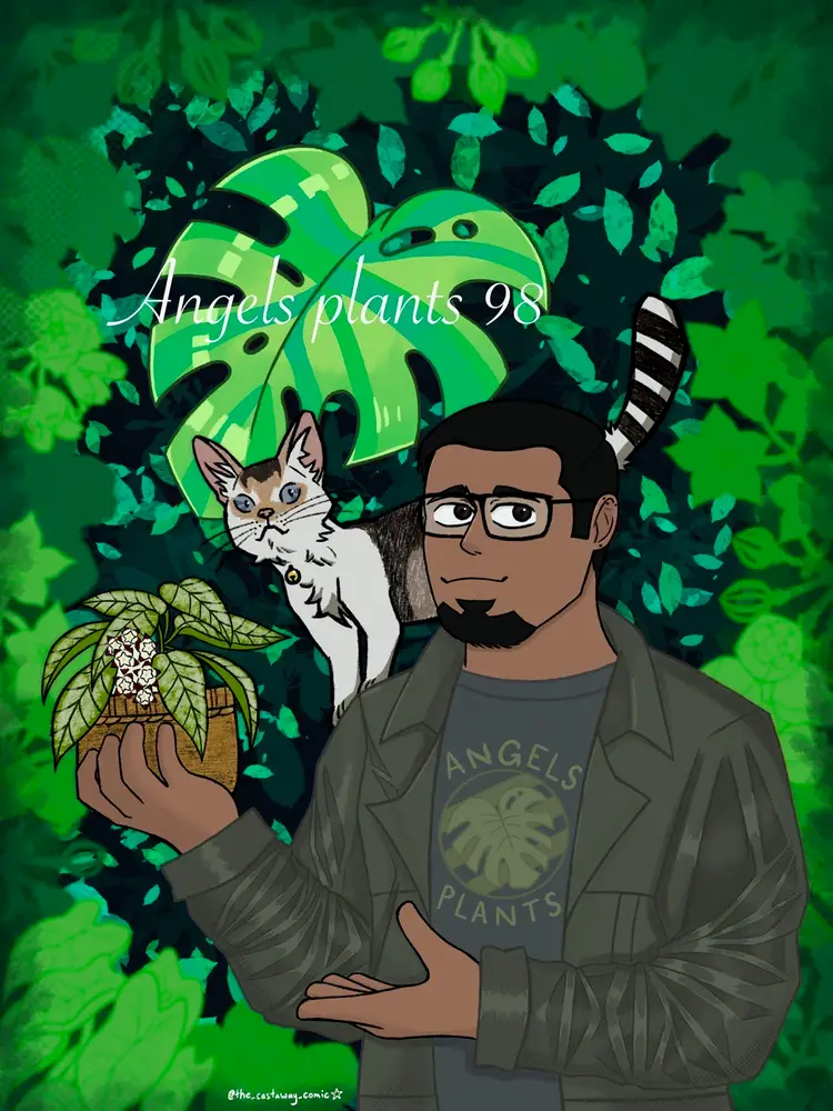 Let’s Cut Some Hoyas and Retrellis 