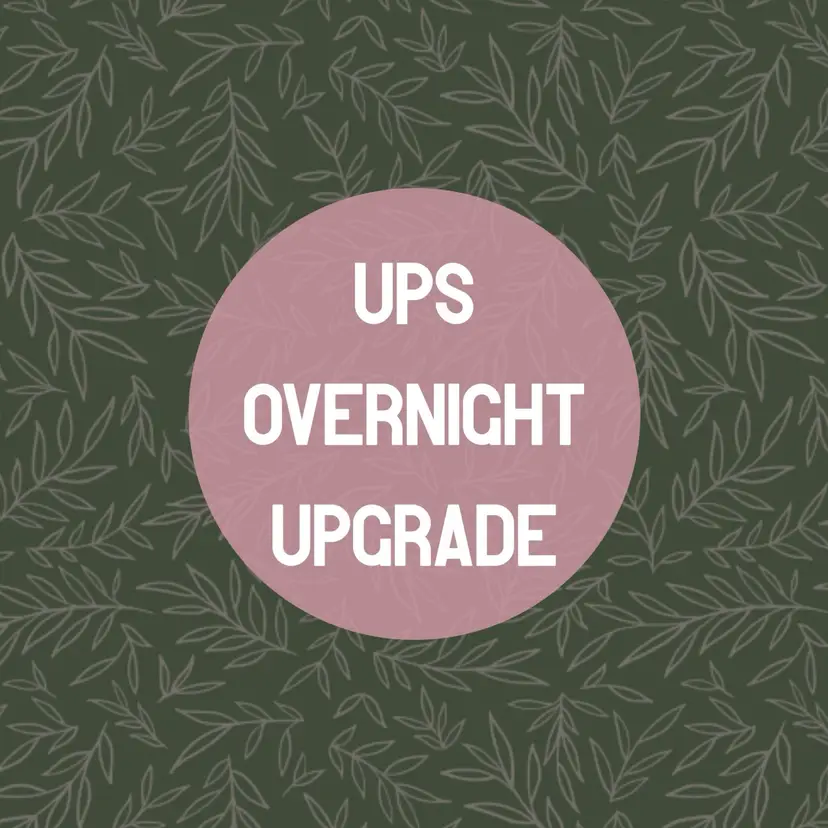 UPS overnight upgrade - $35