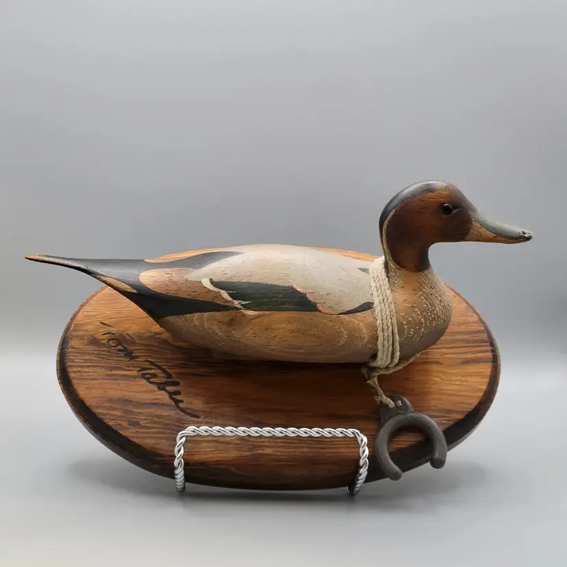 Tom Taber Pintail Duck Display - All Original