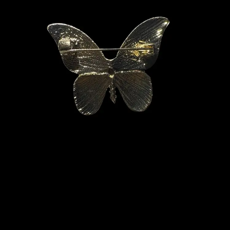 Beautiful Little Butterfly 🦋