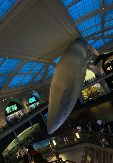 Late nights with The Tarnished Teaspoon 