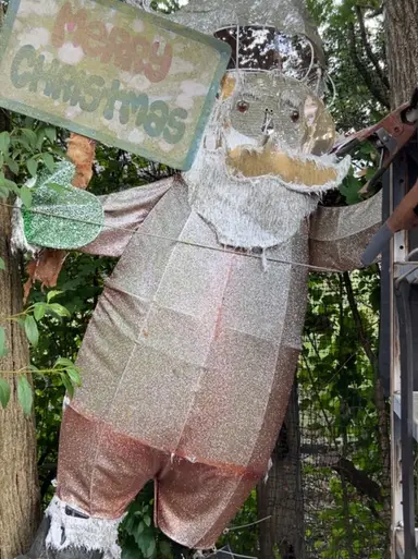 🏡Let’s Go Picking!🏡