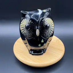 Fenton Art Glass Black Owl Hand painted Signed