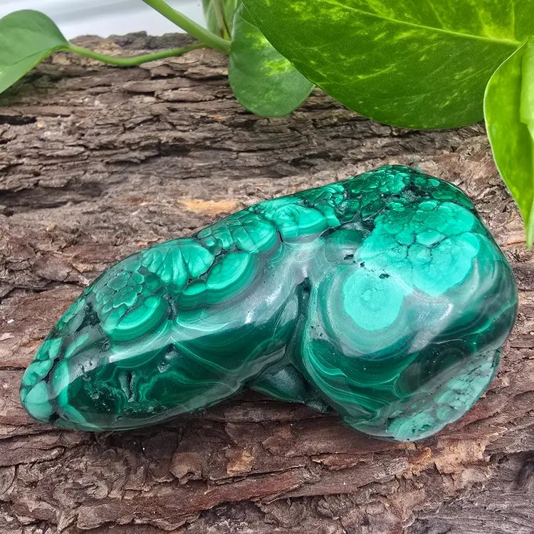 Malachite Freeform from The Congo ~ Polished Crystals