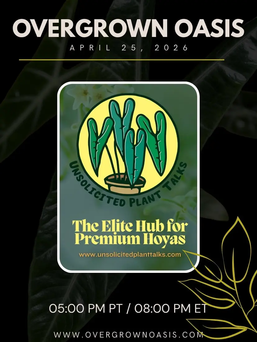 Livestream thumbnail