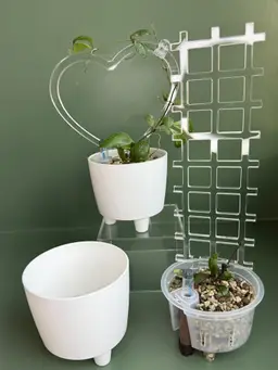 Self Watering pot 4 inch - 6 pack