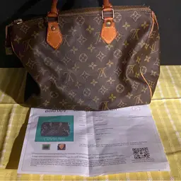 Authentic Vintage Louis Vuitton 1985 Speedy Bag