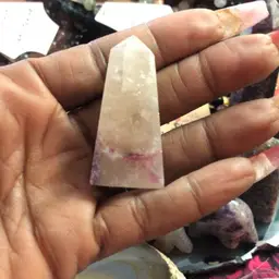 #33 - Sunday with the Peacock!!