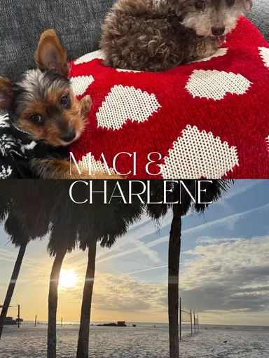 Jewelry Co-host With Peculiar Finds! 