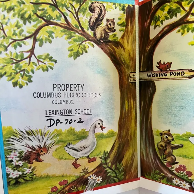 The Little Rabbit Who Wanted Red Wings Book