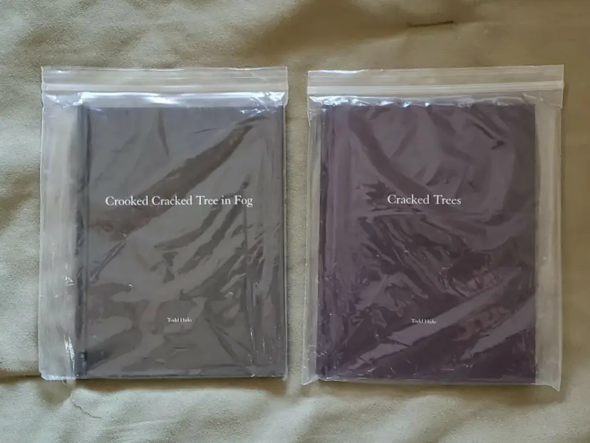 TODD HIDO Nazraeli One Picture Book Set 59/60 CROOKED CRACKED TREE/CRACKED TREES with Signed Prints & Signed on Title Pages set of 2