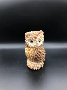 Shell Owl