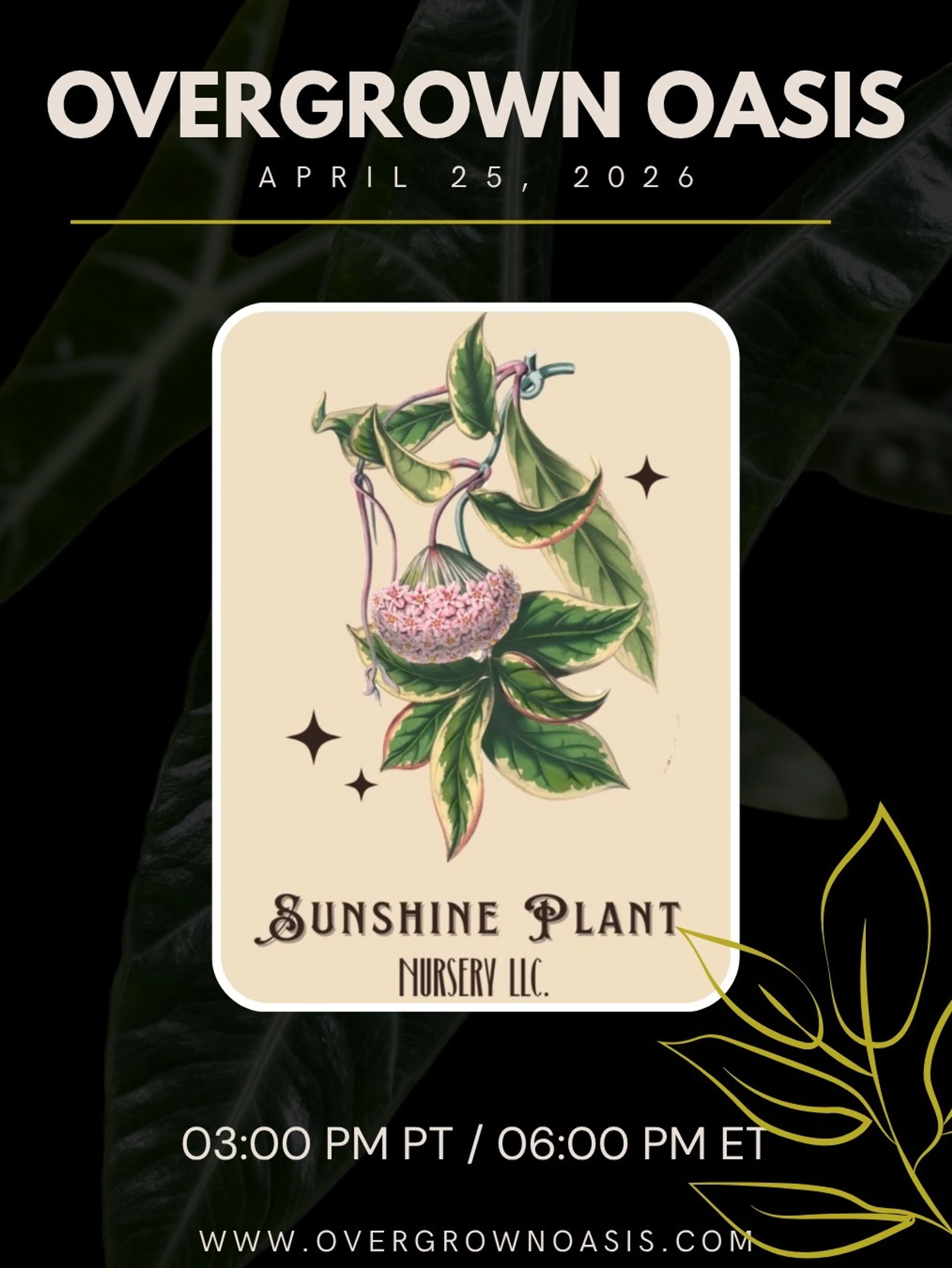 💚 Ovo Trail Day 💚