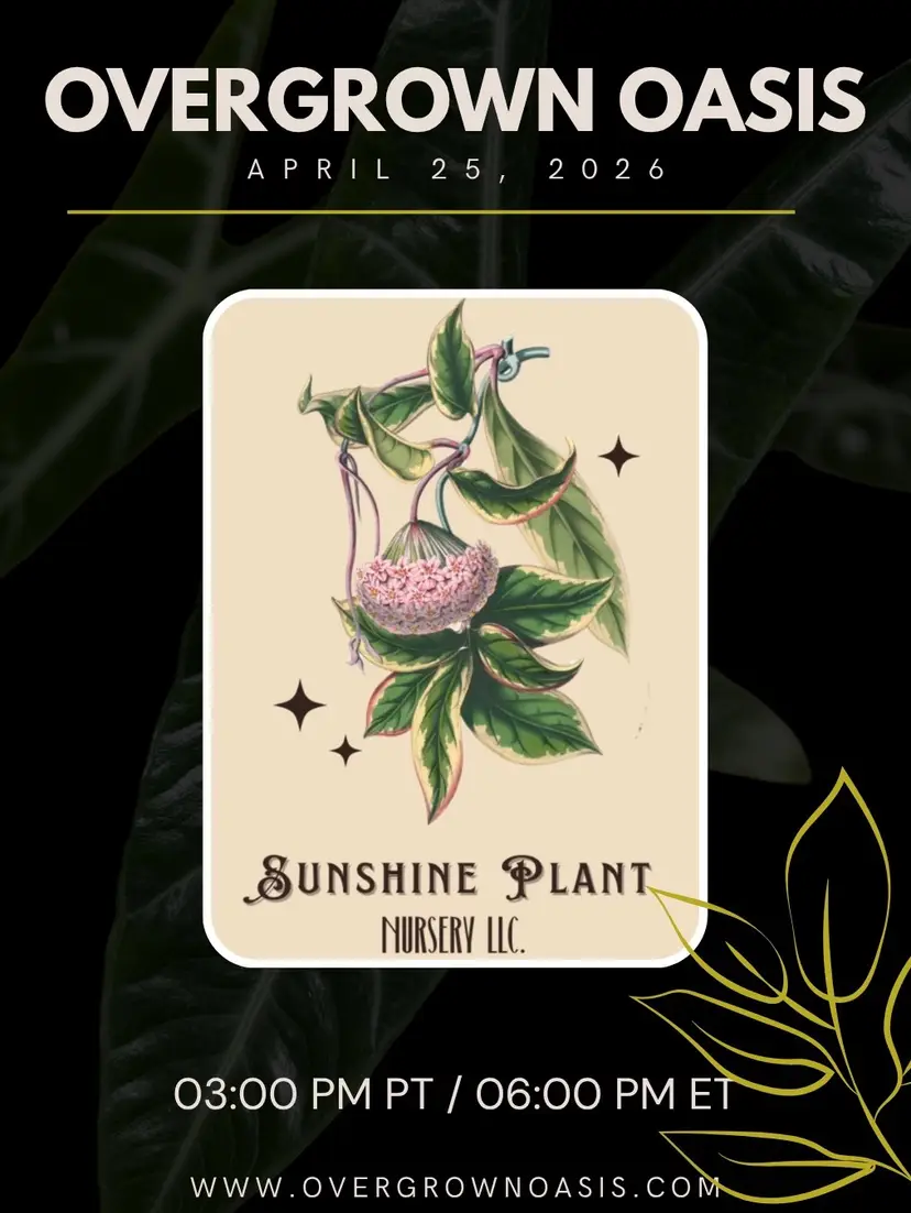 Livestream thumbnail