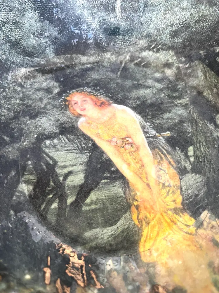 Beautiful collector’s Plate