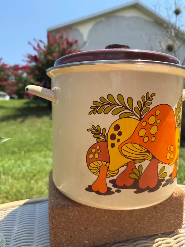 ✨1970s Sears Merry Mushroom Enamel Pot✨