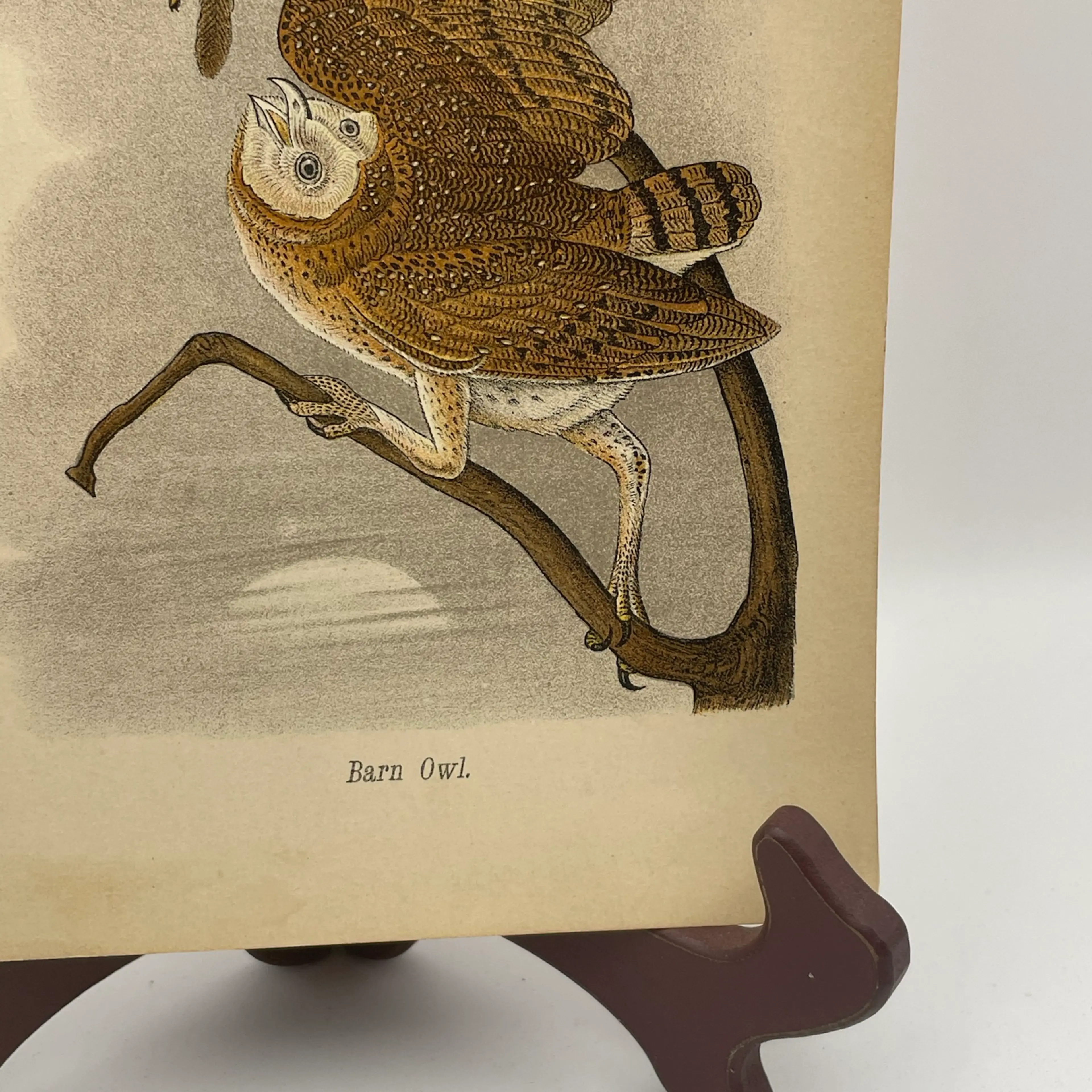 Image 4 of 9